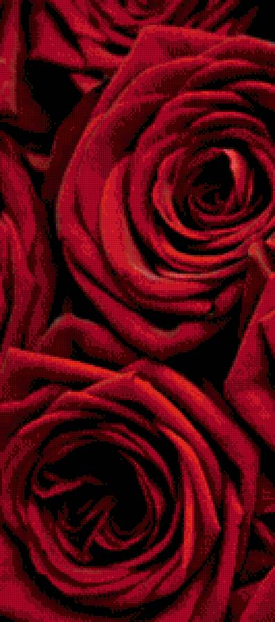 Триптих красные розы (1 часть) - триптих, розы - предпросмотр