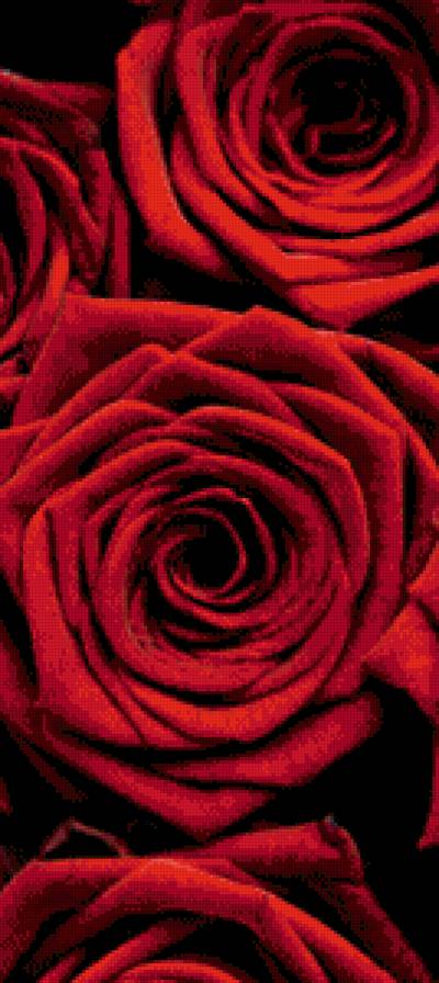 Триптих красные розы (2 часть) - розы, триптих - предпросмотр