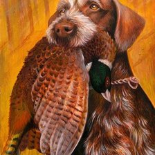 Схема вышивки «дратхаар охотник»