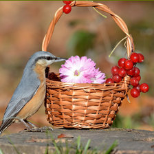 Схема вышивки «Зяблик с корзинкой»
