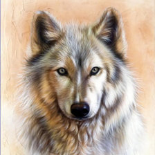 Схема вышивки «волк»