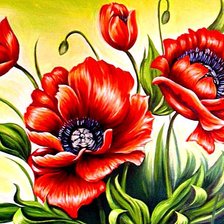 Схема вышивки «маки-6»