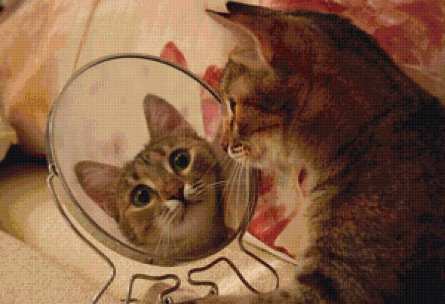 свет мой зеркальце скажи - котики, коты, кот - предпросмотр