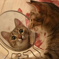 Схема вышивки «свет мой зеркальце скажи»