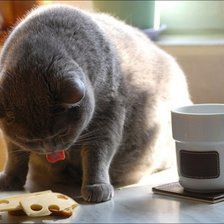 Схема вышивки «утром»