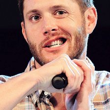 Схема вышивки «Дженсен»