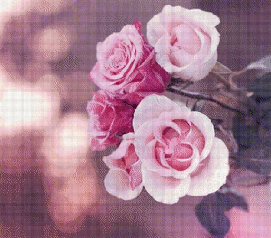 троянди - предпросмотр