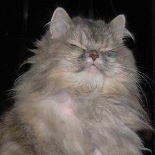 Схема вышивки «кошка»