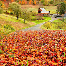 Схема вышивки «осінь»