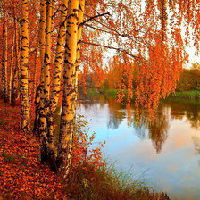 Схема вышивки «осінь»