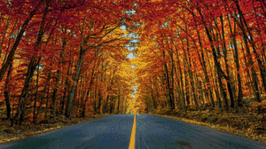 осінь - дерева, ліс, дорога - предпросмотр