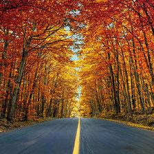 Схема вышивки «осінь»