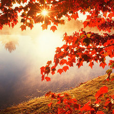 Схема вышивки «осінь»