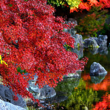 Схема вышивки «осінь»