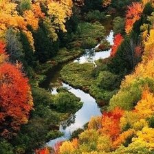 Схема вышивки «осінь»