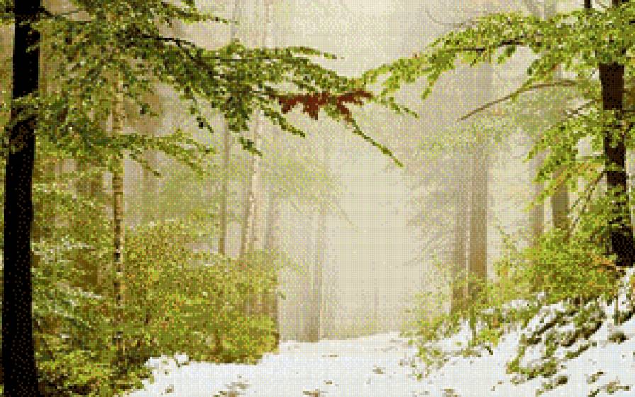 початок зми - ліс, природа - предпросмотр