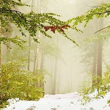 Схема вышивки «початок зми»