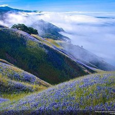 Схема вышивки «Гори»