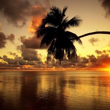 Схема вышивки «Пальма»