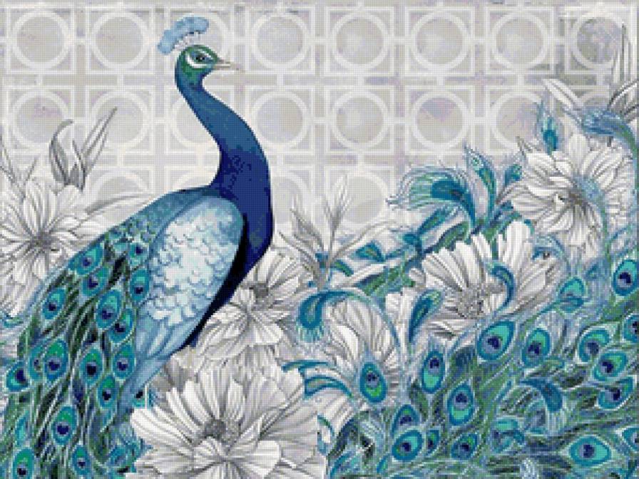 Павлин - павлин, птица, бирюзовый - предпросмотр