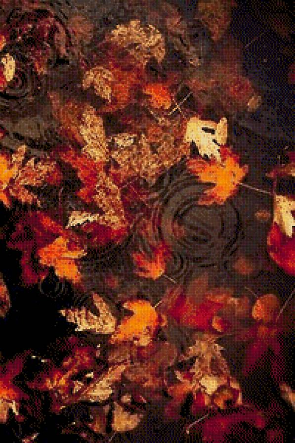 осінь - листя, природа, вода - предпросмотр