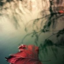 Схема вышивки «осінь»