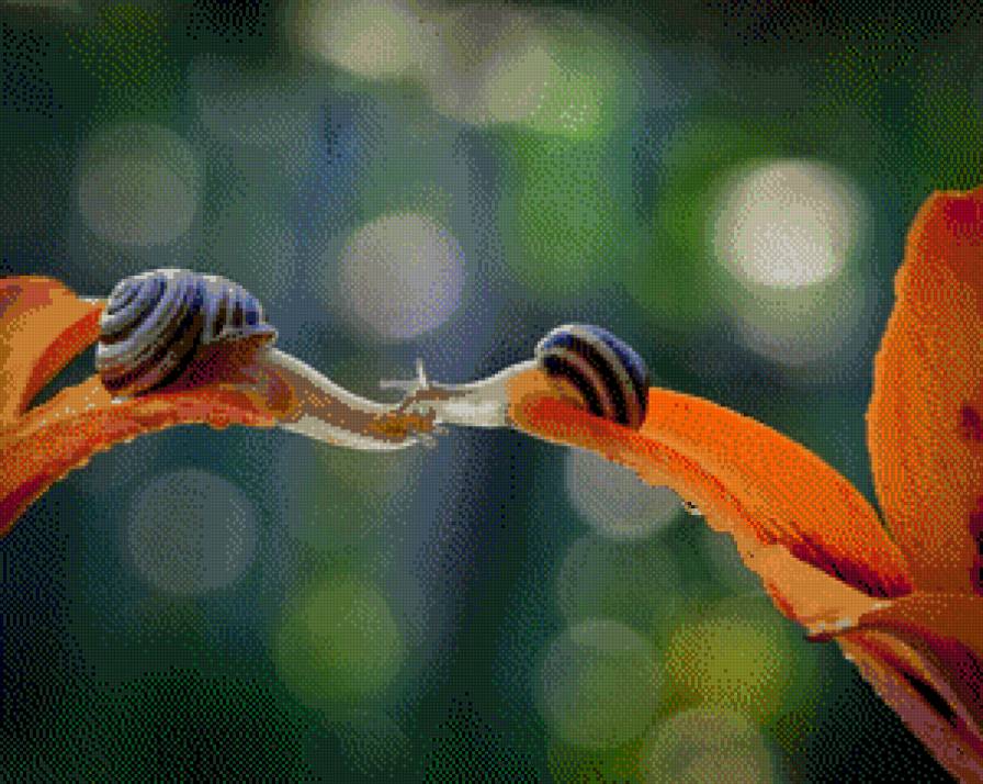 равлики - літо, природа, тварини - предпросмотр