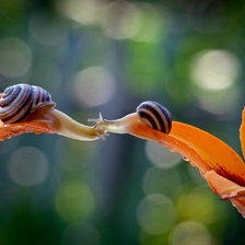 Схема вышивки «равлики»