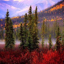 Схема вышивки «осінь»