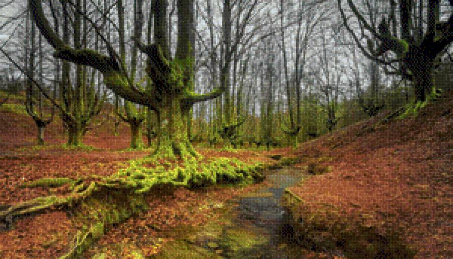 осінь - ліс, природа, дерева, вода - предпросмотр