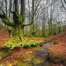 Схема вышивки «осінь»