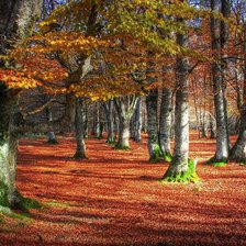 Схема вышивки «осінь»