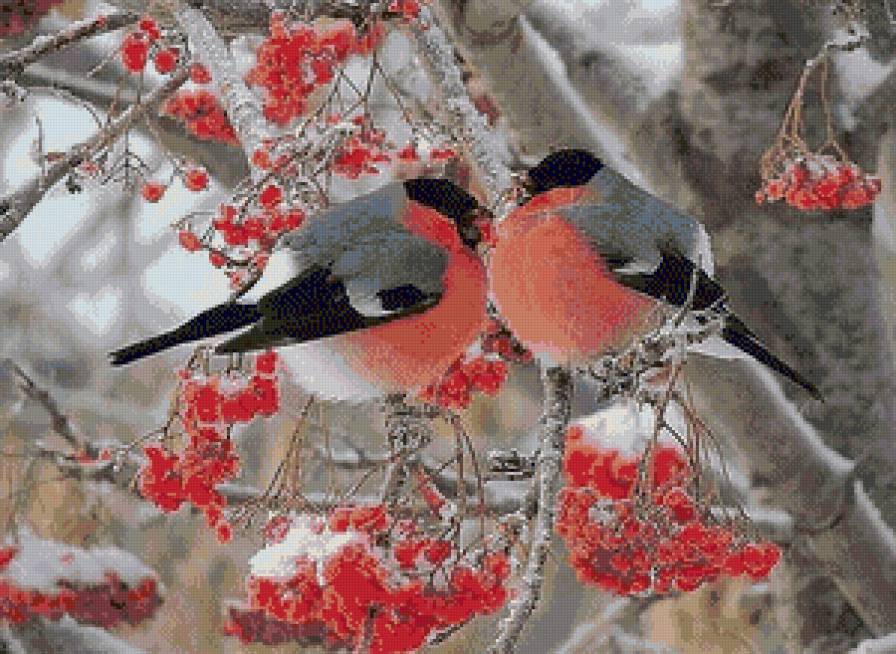 снігурі - природа, птахи, зима - предпросмотр