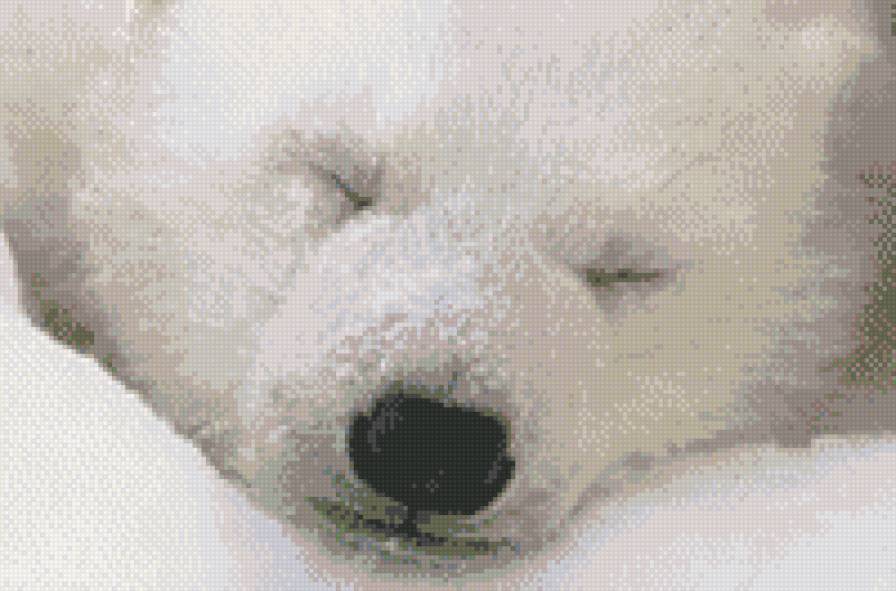 миша - предпросмотр