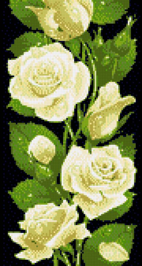 розовое чудо - белые розы - предпросмотр