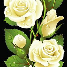 Схема вышивки «Розы»