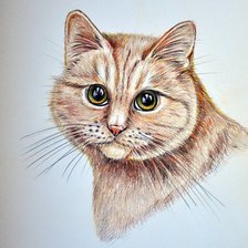 Схема вышивки «Кот»