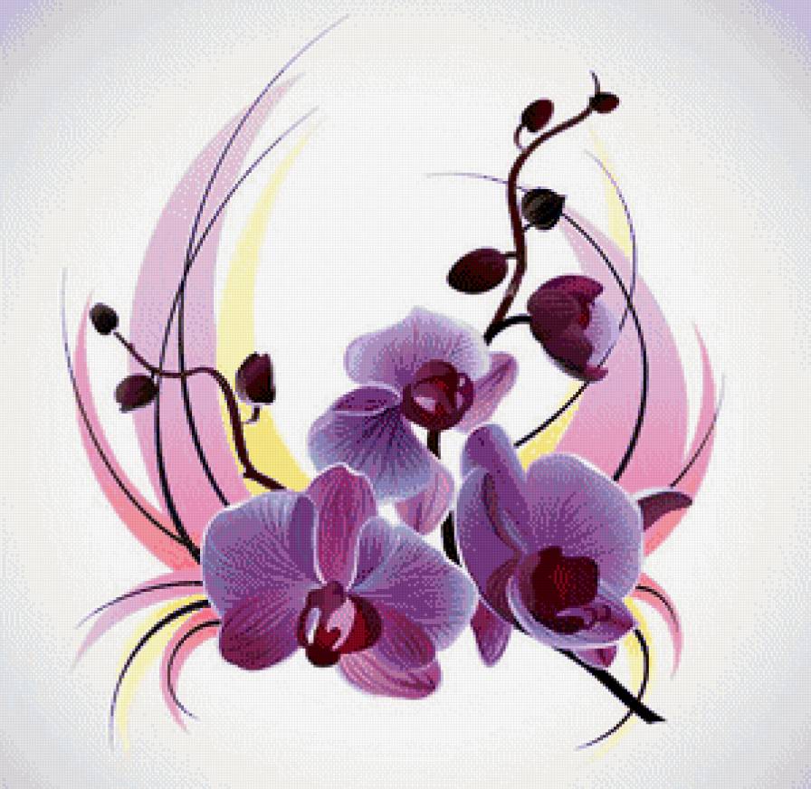 Орхидея - цветы, орхидея - предпросмотр