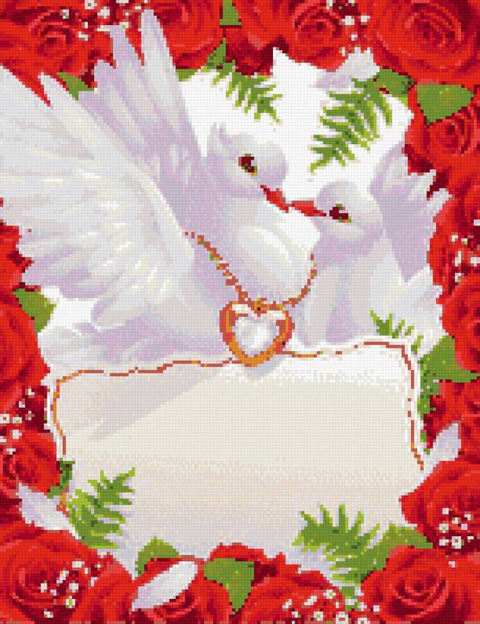 голуби - предпросмотр