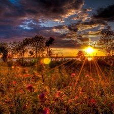 Схема вышивки «рассвет»