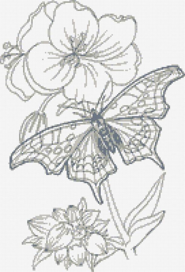 бабочка - цветы, бабочка, природа - предпросмотр