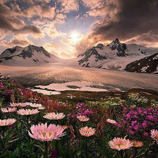 Схема вышивки «весна»