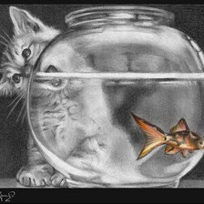 Схема вышивки «Котик»