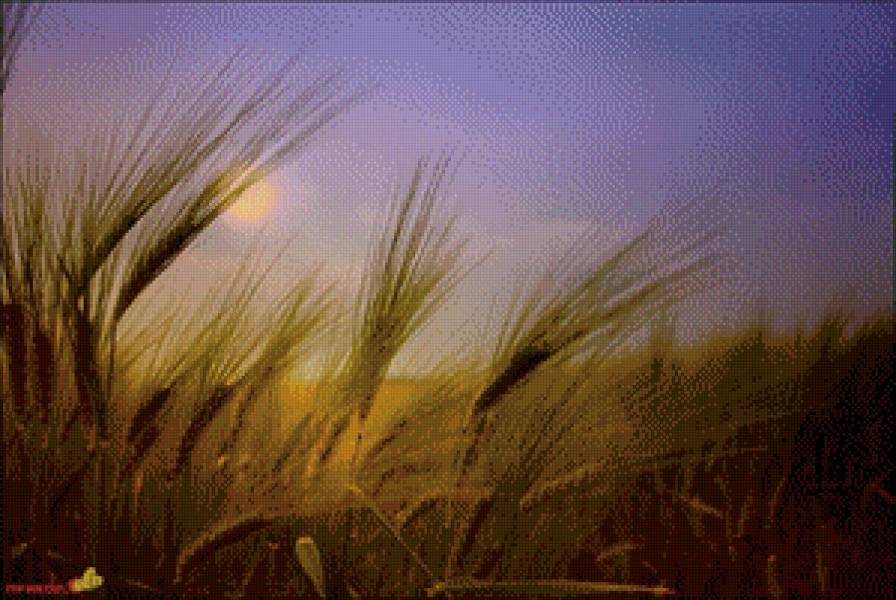 №848407 - пейзажи.природа - предпросмотр