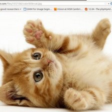 Схема вышивки «Котик»