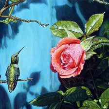 Схема вышивки «Колибри 1»