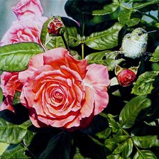 Схема вышивки «Колибри 2»