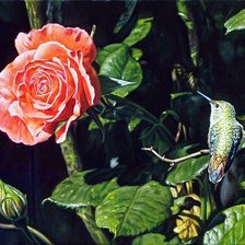 Схема вышивки «Колибри 3»