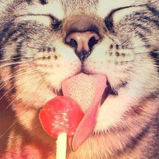 Схема вышивки «кот и чюпик»