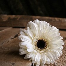 Схема вышивки «цветок»